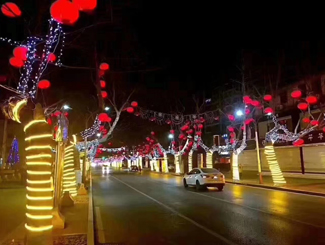 璀璨节日的绿色之光：LED节日灯